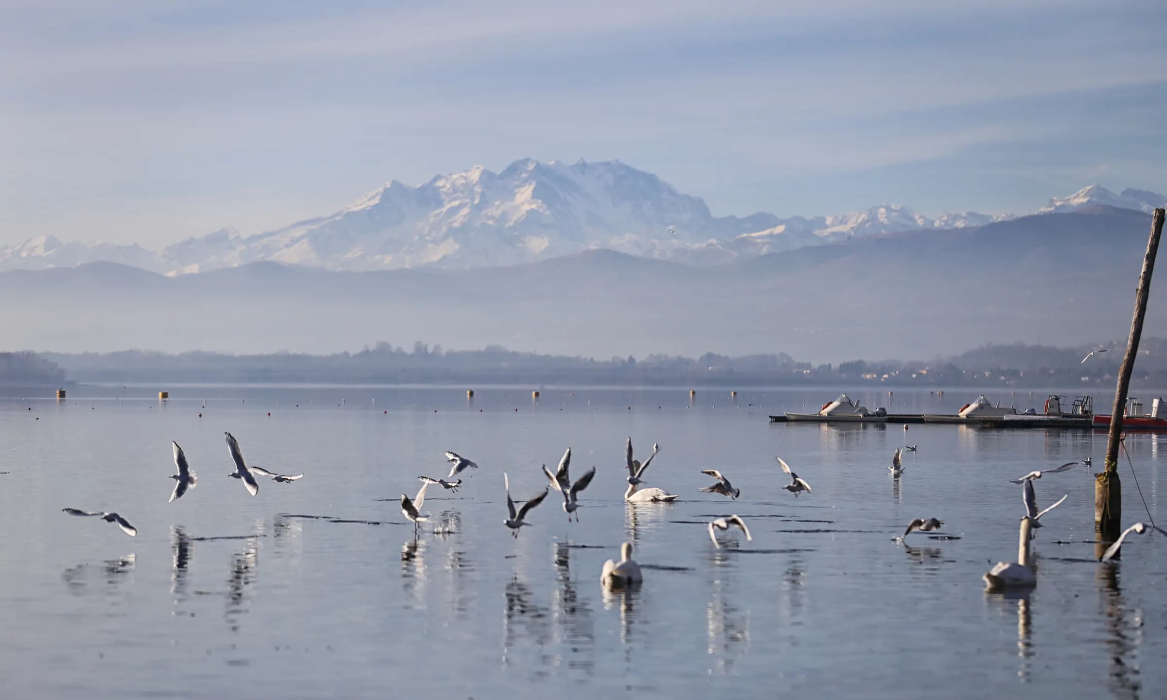 Il Lago di Varese visto dalla Schiranna, con il massiccio del Monte Rosa innevato sullo sfondo